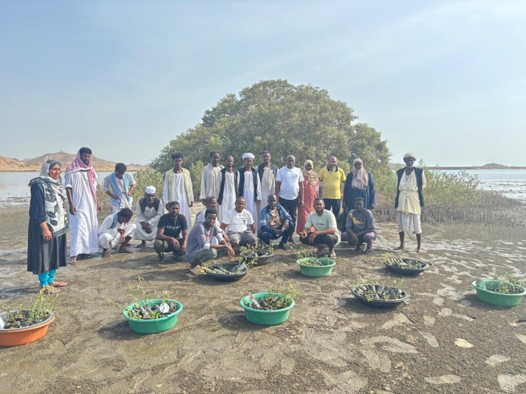 Conservation partners and local community members assembled beside mangrove seedlings at a restoration site in Dungonab Bay and Mukkawar Island Marine National Park.
