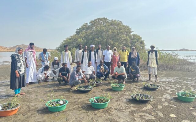 Conservation partners and local community members assembled beside mangrove seedlings at a restoration site in Dungonab Bay and Mukkawar Island Marine National Park.